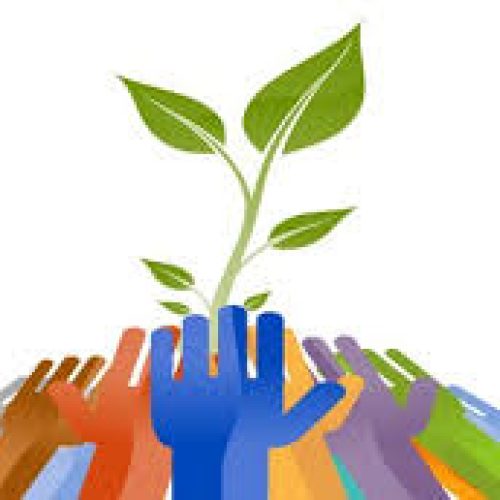 بناء المجتمع